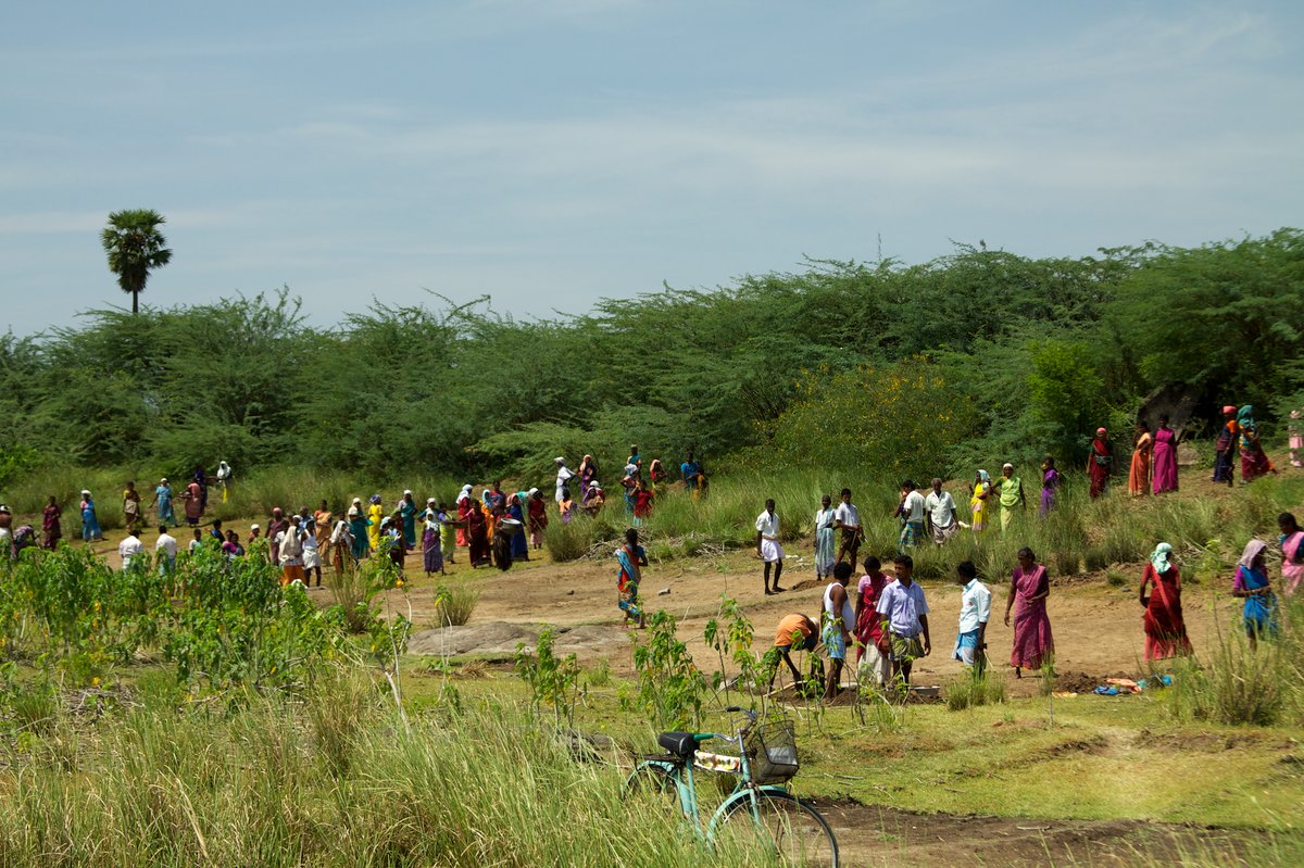 Village water harvesting and community greening initiative